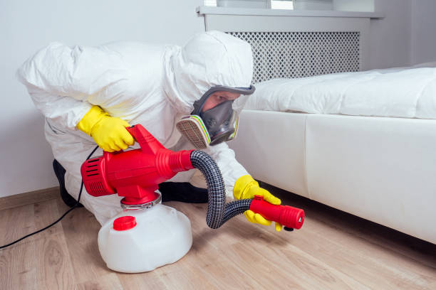 Professional Pest Control in Stephens City, VA