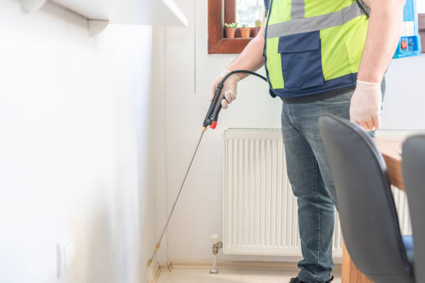 Best Best Pest Control Companies  in Stephens City, VA